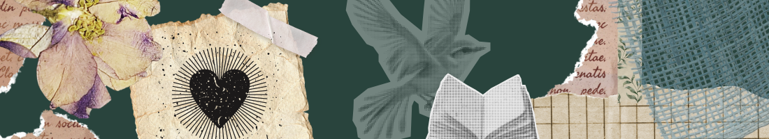 Seeru_stadijas_header