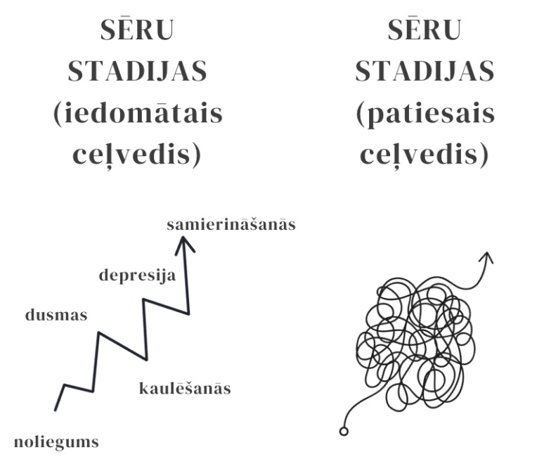 Seeru_stadijas
