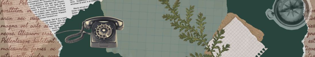 Zvanisanas_stadijas_header